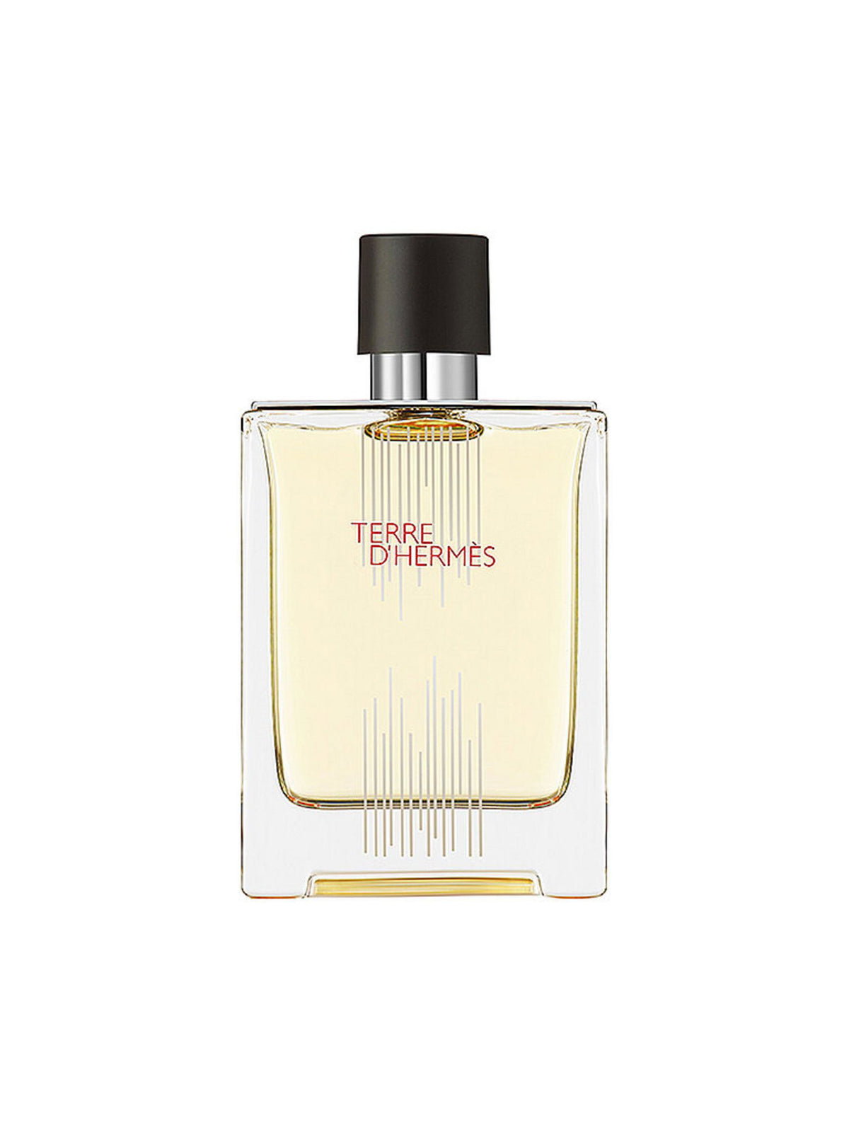Hermes, Terre d'Hermes Flacon H Limited Edition, Eau De Toilette, For Men, 100 ml